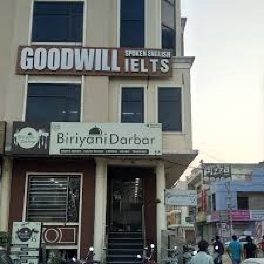 Goodwill Immigration Services